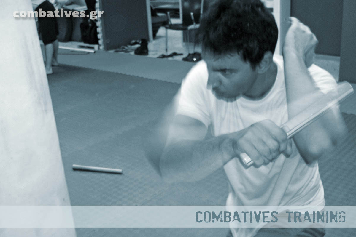 Μαθήματα Combatives